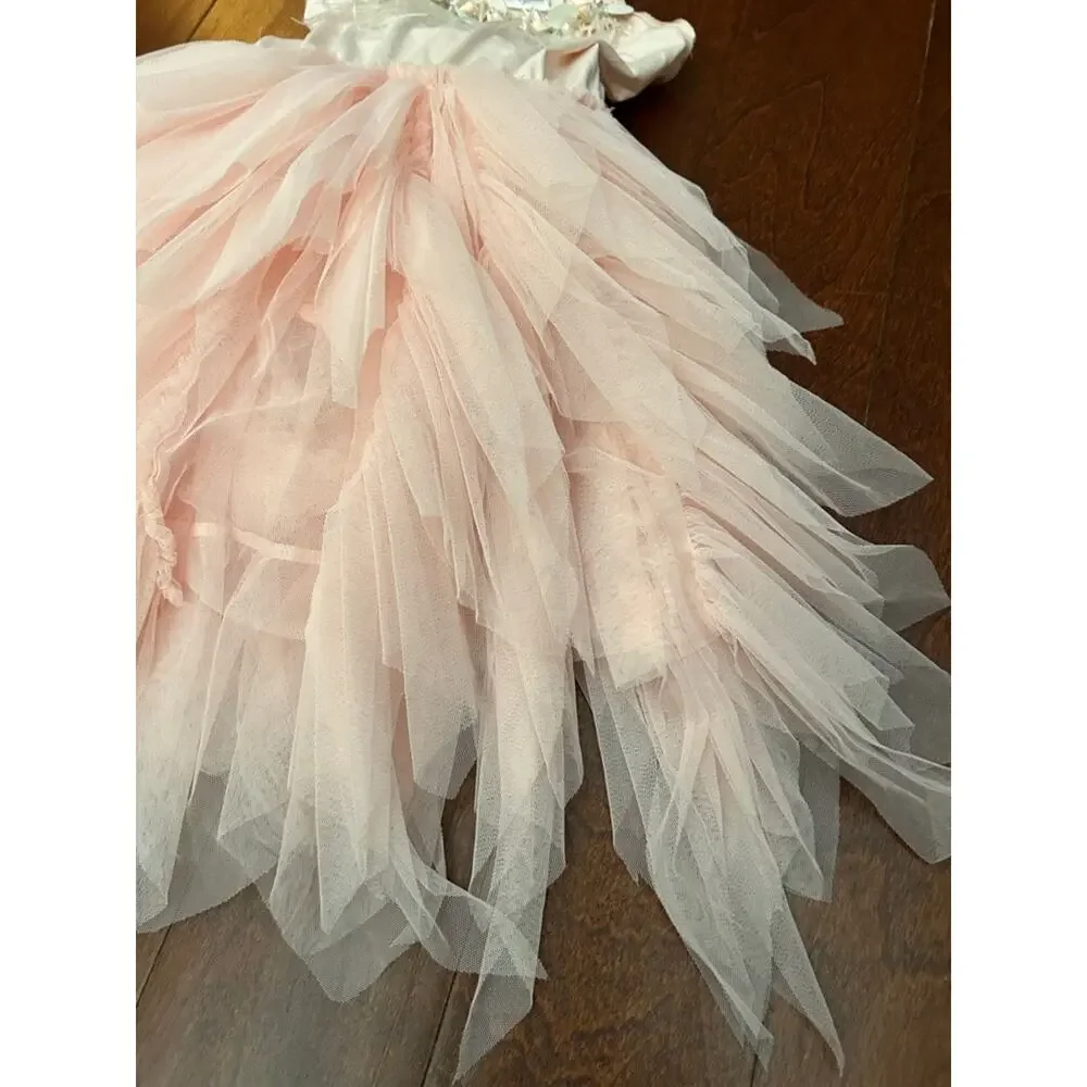 Blush Pink Tulle Ballet Costume Dress with Feather & Sequin Trim, Size 4/5